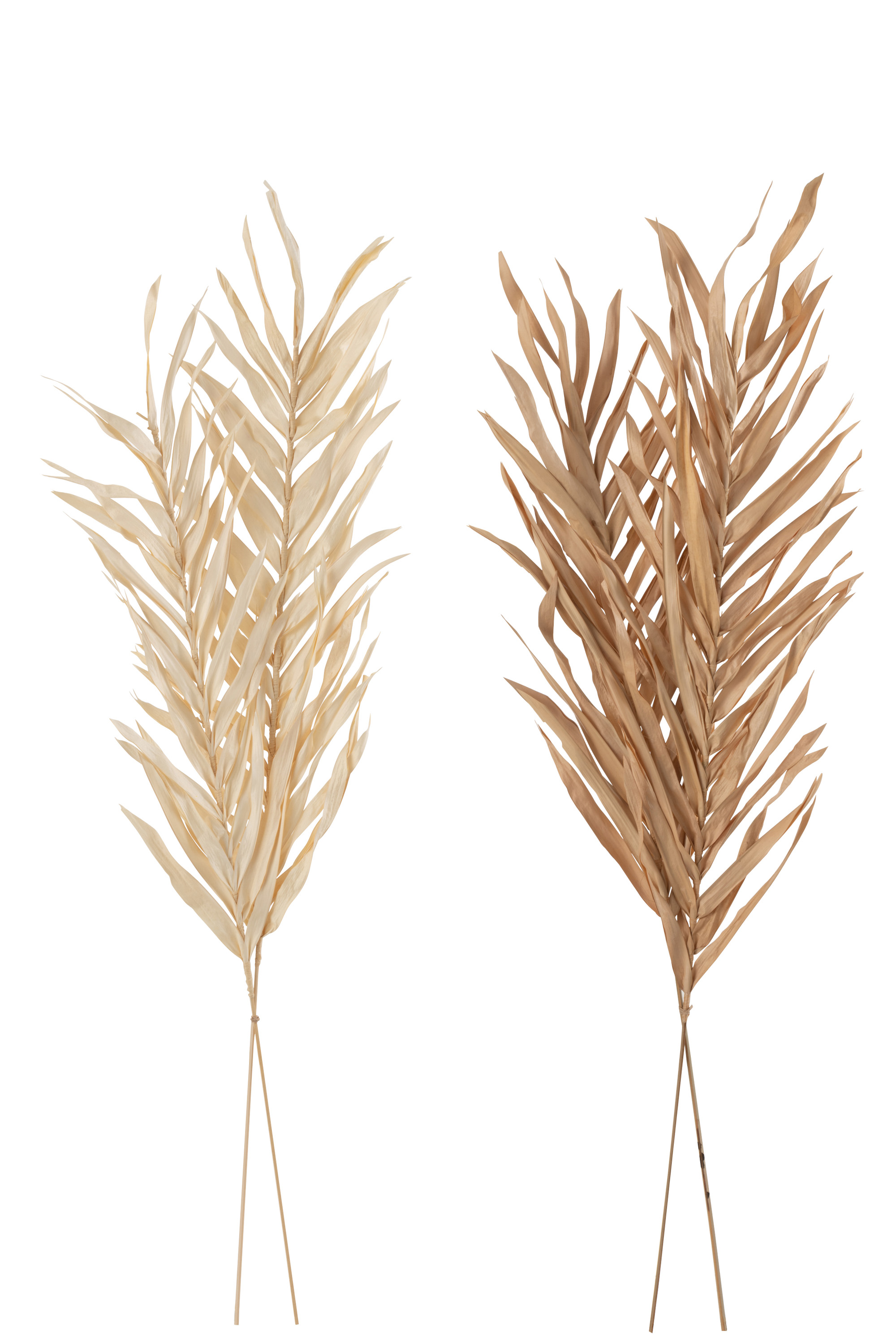 Zeegras Palm takken Deco